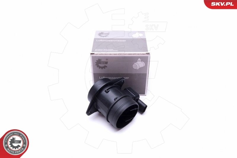 Mass Air Flow Sensor